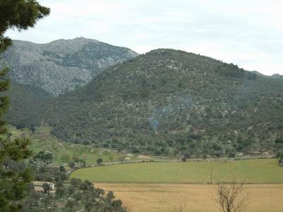 DSCF0034.JPG